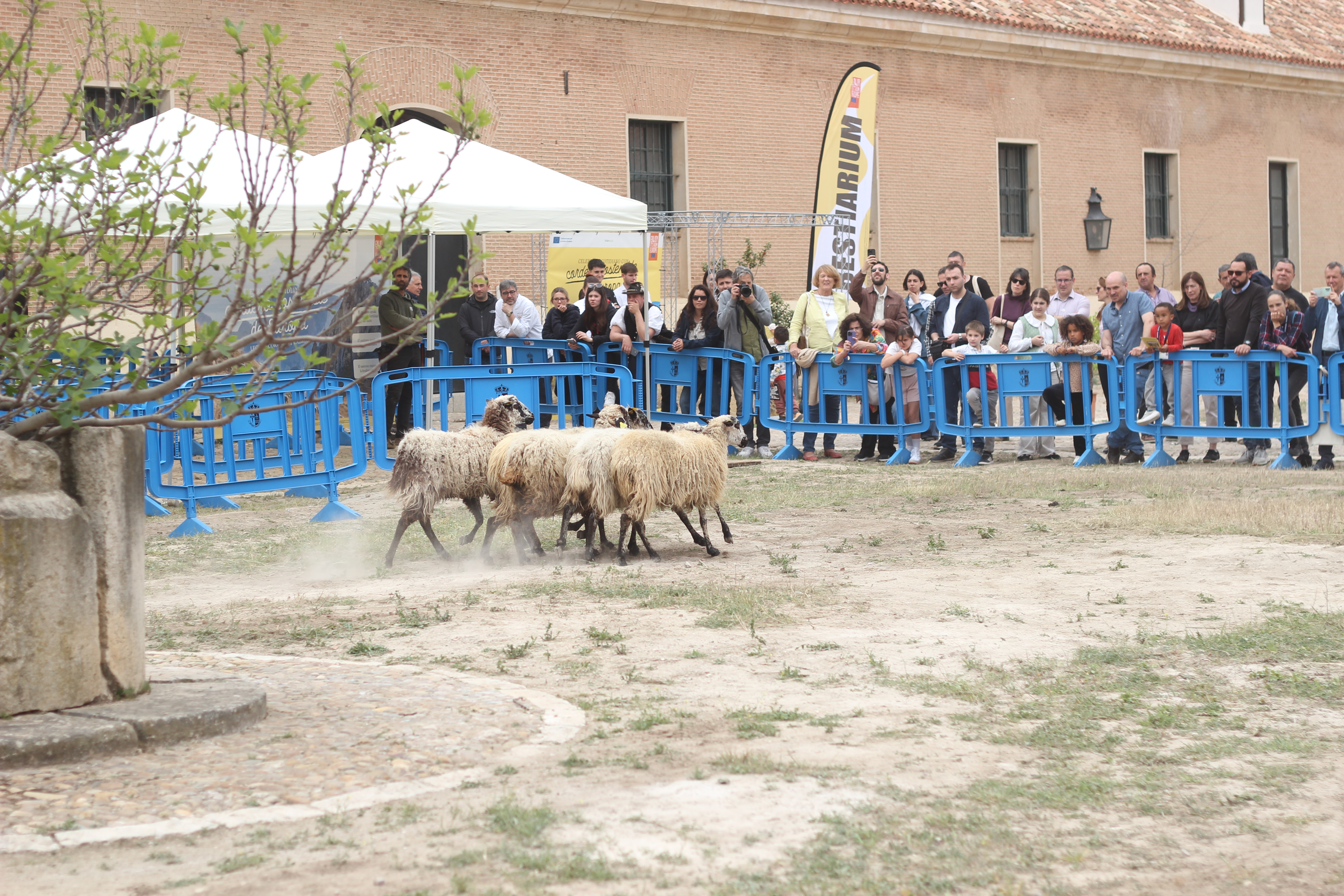 Event Gallery - IYRP 2026